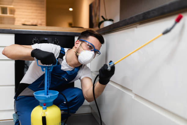 Best Insect Control  in Minnetonka, MN