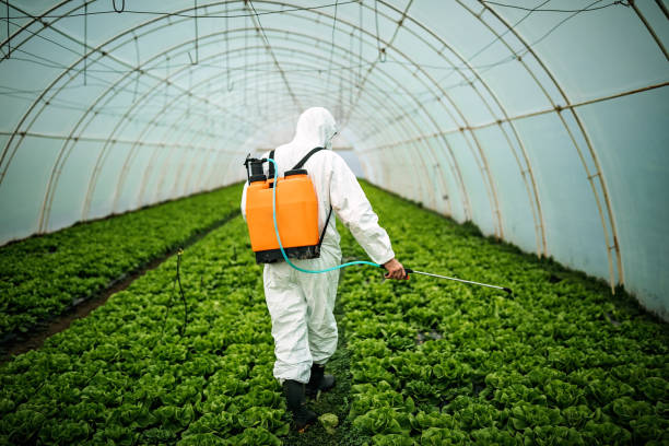 Best Pest Prevention Services  in Minnetonka, MN