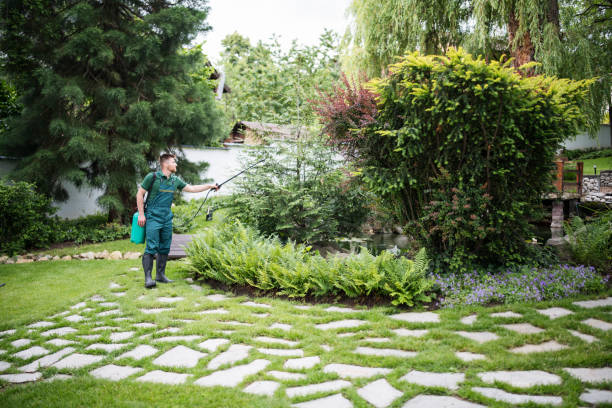 Best Residential Pest Control  in Minnetonka, MN