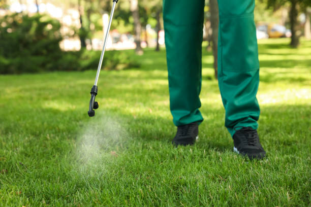Best Best Pest Control Companies  in Minnetonka, MN