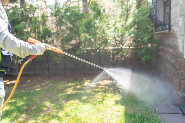 Best Affordable Pest Control Services  in Minnetonka, MN