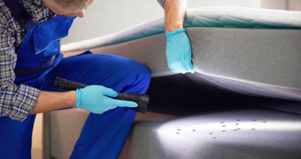 Best Pest Removal Services  in Minnetonka, MN