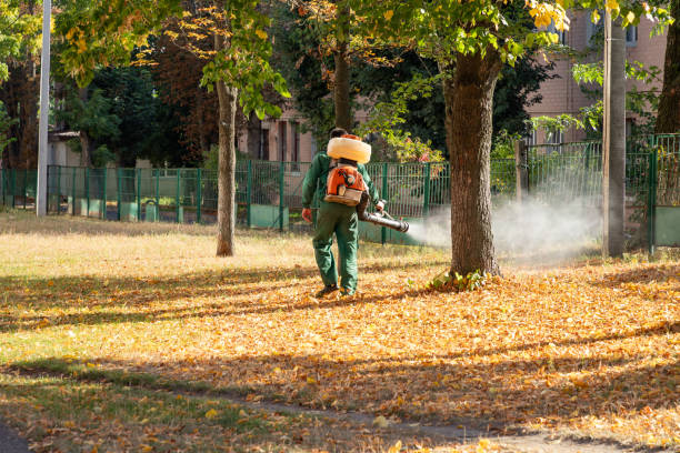 Best Wildlife Control Services  in Minnetonka, MN