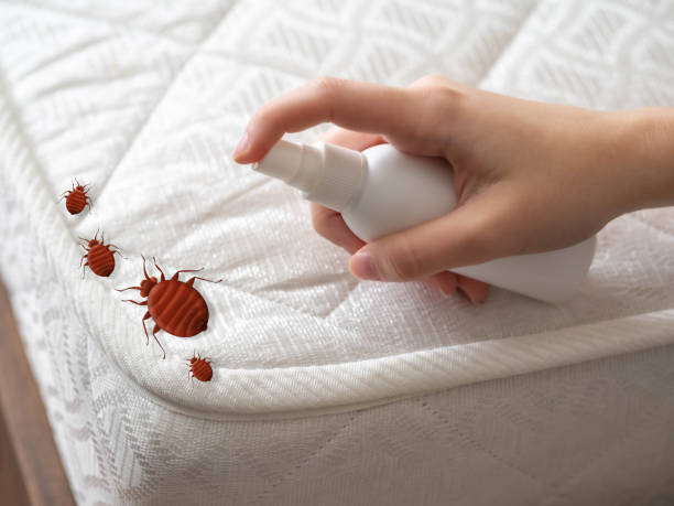 Trusted Minnetonka, MN Pest Control Experts