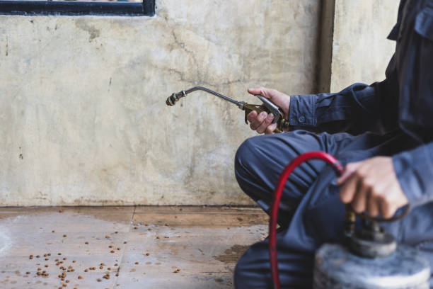 Best Local Pest Control Services  in Minnetonka, MN