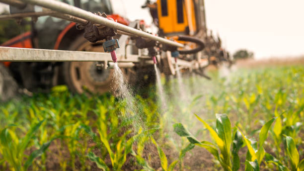 Best Ant Control Services  in Minnetonka, MN
